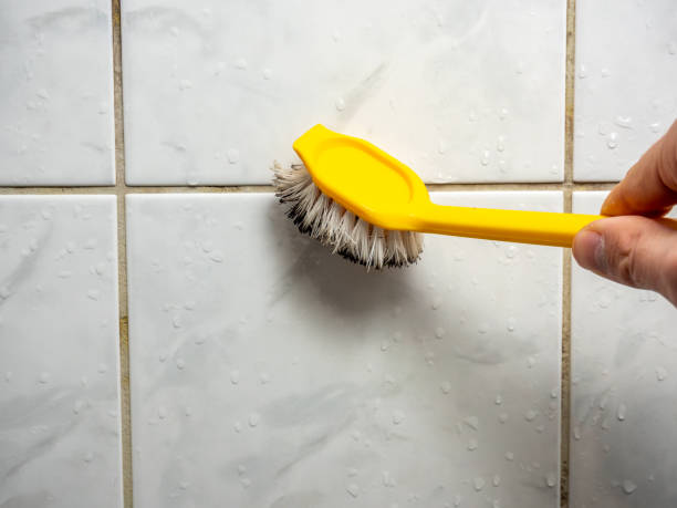 Reliable Lyford, TX Mold Removal Solutions
