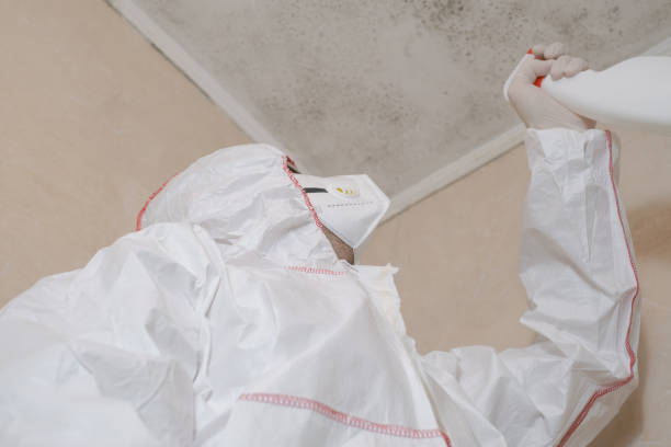 Best Home Mold Removal  in Lyford, TX